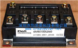 6MBI100L-060Pictures of Products