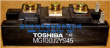 MG100J2YS45Pictures of Products