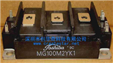 MG100M2YK1Pictures of Products